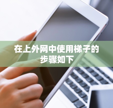 在上外网中使用梯子的步骤如下