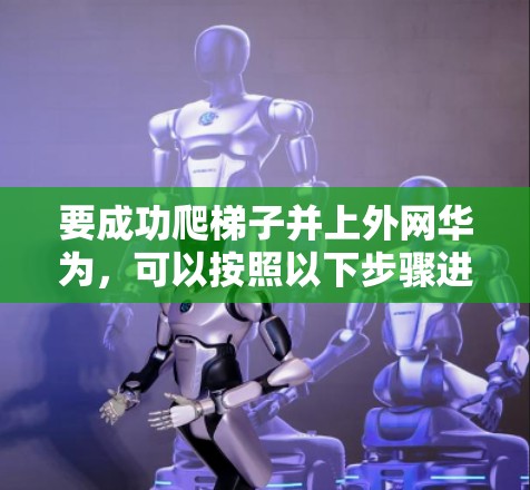 要成功爬梯子并上外网华为，可以按照以下步骤进行