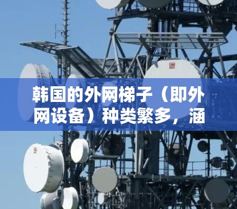 韩国的外网梯子（即外网设备）种类繁多，涵盖了视频通话、家庭娱乐、蓝牙连接等多种功能。以下是几款常见的韩国外网梯子及其特点