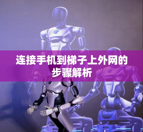 连接手机到梯子上外网的步骤解析
