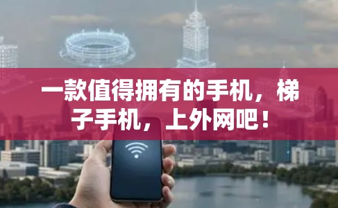 一款值得拥有的手机，梯子手机，上外网吧！