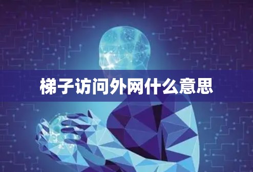 梯子访问外网什么意思