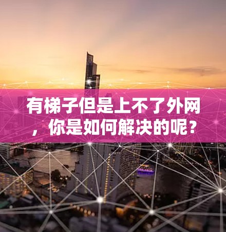 有梯子但是上不了外网，你是如何解决的呢？