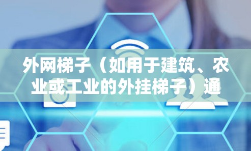 外网梯子（如用于建筑、农业或工业的外挂梯子）通常需要一个稳定的稳定性装置来防止梯子滑动或摇晃。以下是一些推荐的稳定性装置和外网梯子的组合方案，供你参考