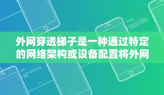 外网穿透梯子是一种通过特定的网络架构或设备配置将外网连接起来的技术，通常用于测试、部署或扩展网络。以下是一些具体的使用方法和步骤