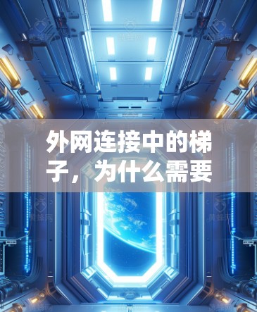 外网连接中的梯子，为什么需要它？