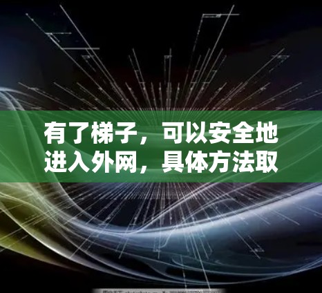 有了梯子，可以安全地进入外网，具体方法取决于外网的定义和位置。以下是一些可能的情况