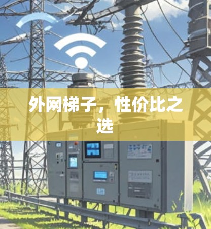 外网梯子，性价比之选
