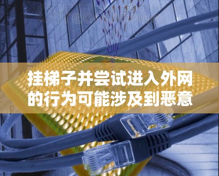 挂梯子并尝试进入外网的行为可能涉及到恶意软件或网络攻击，不建议进行此类操作。以下是建议的步骤以确保安全
