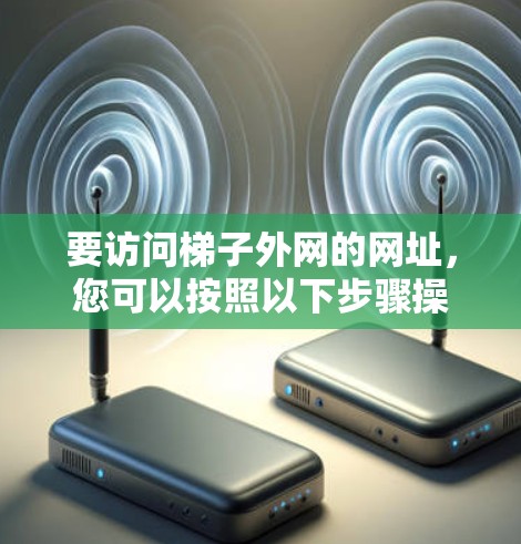 要访问梯子外网的网址，您可以按照以下步骤操作