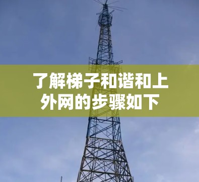 了解梯子和谐和上外网的步骤如下
