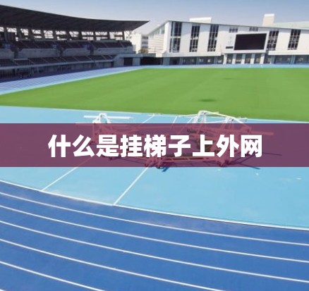 什么是挂梯子上外网