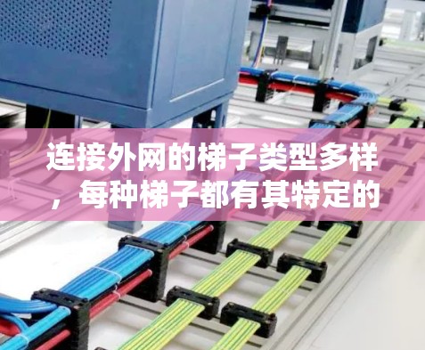 连接外网的梯子类型多样，每种梯子都有其特定的功能和用途。以下是一些常见的梯子类型及其特点