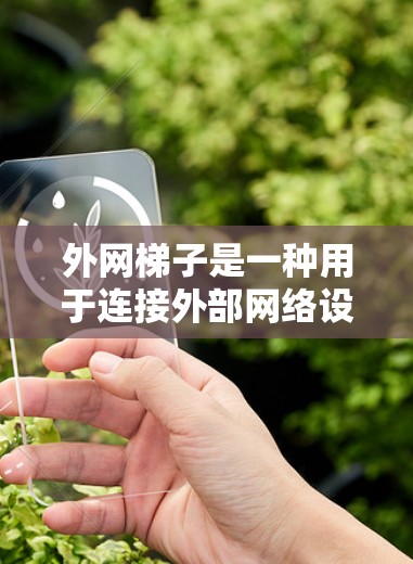 外网梯子是一种用于连接外部网络设备的工具，通常用于局域网或无线网的配置。购买外网梯子时，价格、质量和服务都是重要的考虑因素。以下是一些建议，帮助你找到性价比高的外网梯子
