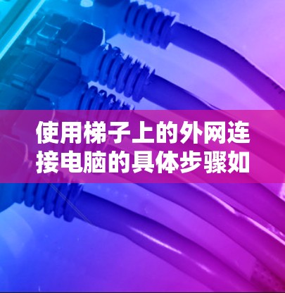 使用梯子上的外网连接电脑的具体步骤如下