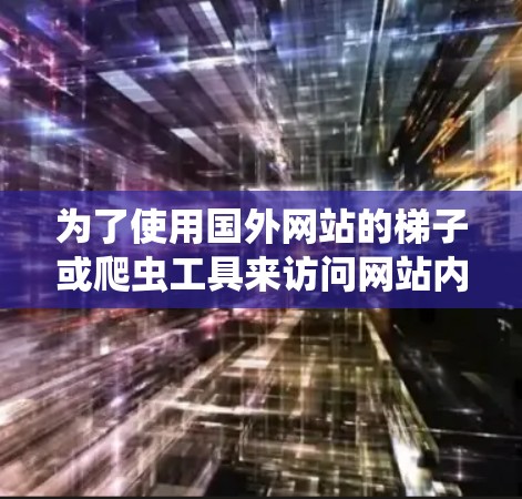 为了使用国外网站的梯子或爬虫工具来访问网站内容，可以按照以下步骤操作