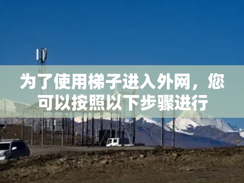 为了使用梯子进入外网，您可以按照以下步骤进行