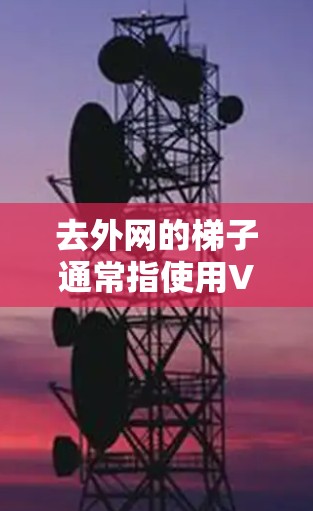 去外网的梯子通常指使用VPN或手机的VPN功能来访问外部互联网。以下是一步步的指南