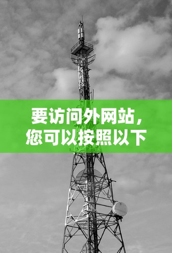 要访问外网站，您可以按照以下步骤操作