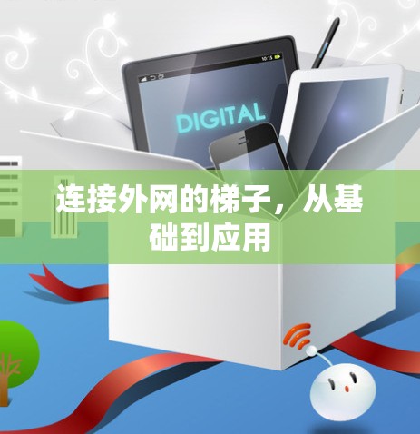 连接外网的梯子，从基础到应用