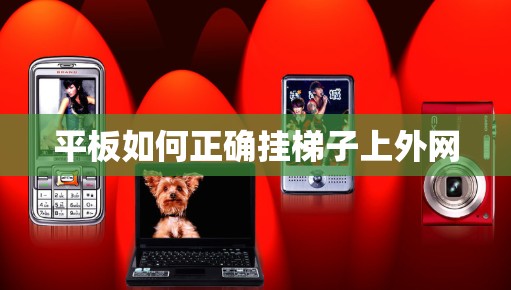 平板如何正确挂梯子上外网