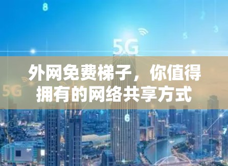 外网免费梯子，你值得拥有的网络共享方式