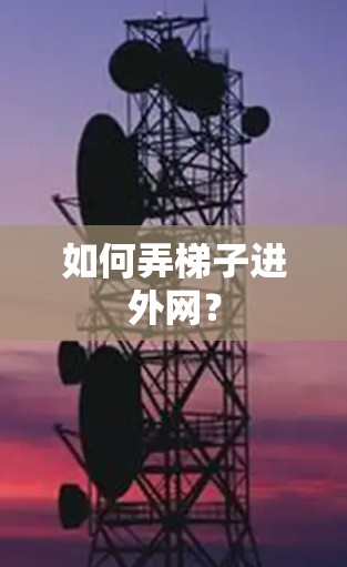 如何弄梯子进外网? 如何弄梯子进外网?