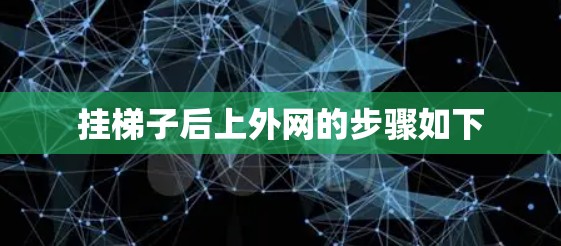 挂梯子后上外网的步骤如下