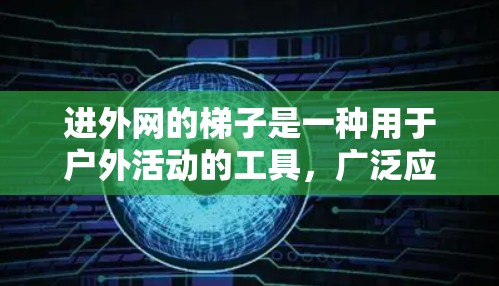 进外网的梯子是一种用于户外活动的工具，广泛应用于寻找植物、小动物或隐藏的物品。进外网的梯子结构和功能如下