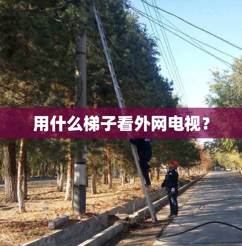 用什么梯子看外网电视？