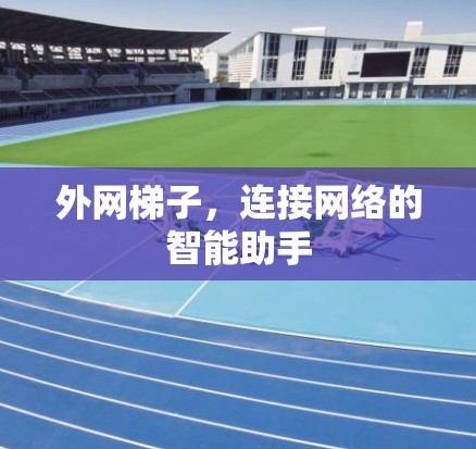 外网梯子，连接网络的智能助手