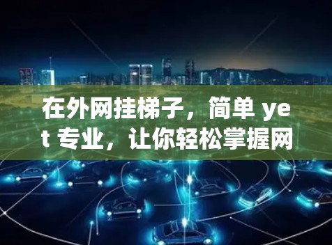在外网挂梯子，简单 yet 专业，让你轻松掌握网络设备安装