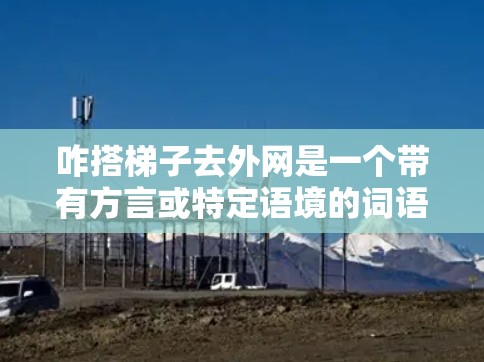 咋搭梯子去外网是一个带有方言或特定语境的词语，其含义可能因语境而异。以下是对其可能的解释