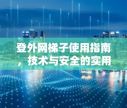 登外网梯子使用指南，技术与安全的实用技巧