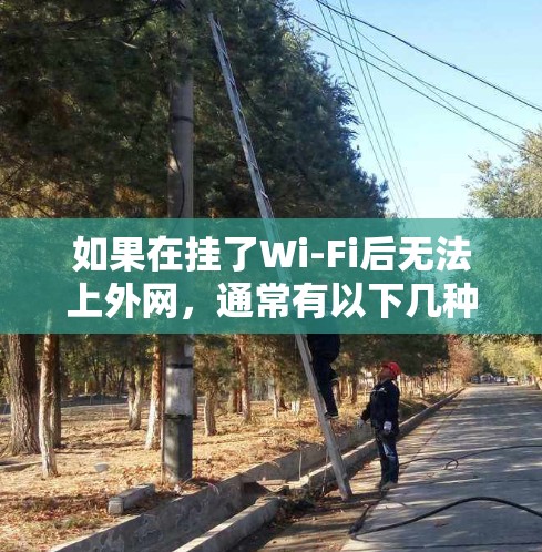 如果在挂了Wi-Fi后无法上外网，通常有以下几种可能的原因，您可以按照以下步骤排查