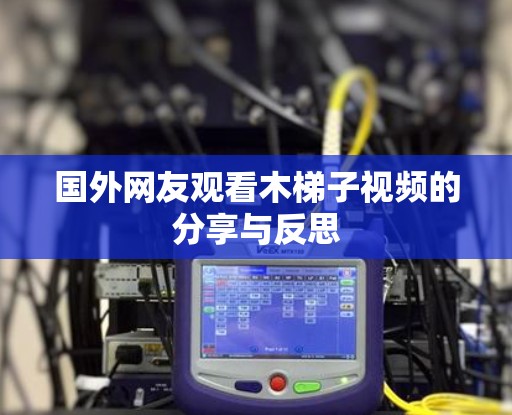 国外网友观看木梯子视频的分享与反思