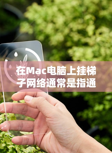在Mac电脑上挂梯子网络通常是指通过主网卡（MCI接口）将多个设备连接到主网卡，以便在没有额外网络设备的情况下，将这些设备连接到一个主网卡上。以下是逐步操作的方法