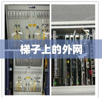梯子上的外网