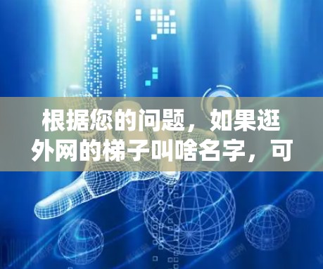 根据您的问题，如果逛外网的梯子叫啥名字，可能指的是某个特定平台的访问指引或导航系统。为了提供准确的信息，建议您