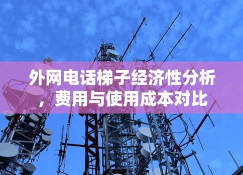 外网电话梯子经济性分析，费用与使用成本对比