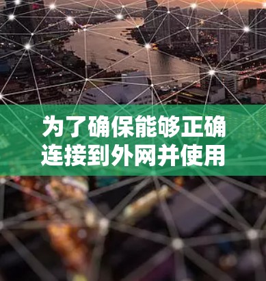 为了确保能够正确连接到外网并使用手机数据，可以按照以下步骤操作