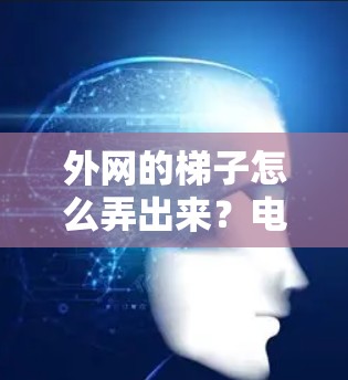 外网的梯子怎么弄出来？电话线的维护与安装