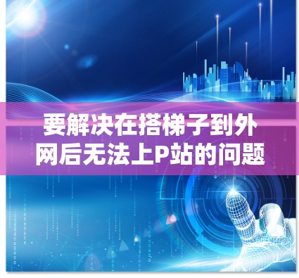 要解决在搭梯子到外网后无法上P站的问题，可以按照以下步骤进行