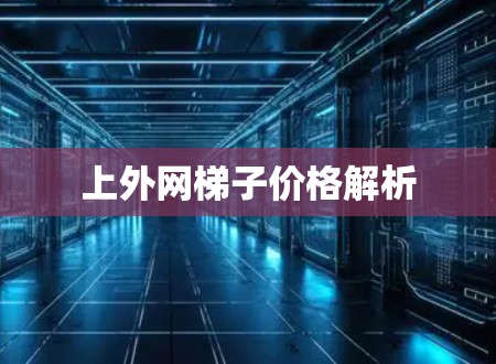 上外网梯子价格解析