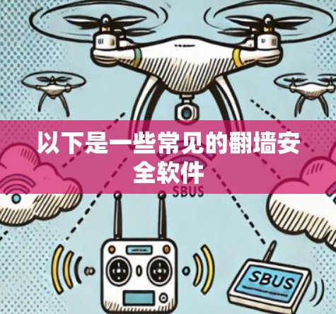 以下是一些常见的翻墙安全软件