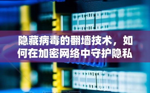 隐藏病毒的翻墙技术，如何在加密网络中守护隐私