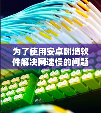 为了使用安卓翻墙软件解决网速慢的问题，以下是一步步的解决方案