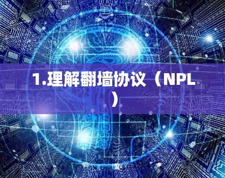 1.理解翻墙协议（NPL）