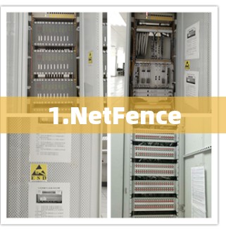 1.NetFence