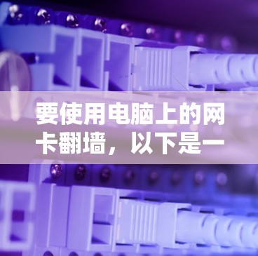 要使用电脑上的网卡翻墙，以下是一步步的操作指南